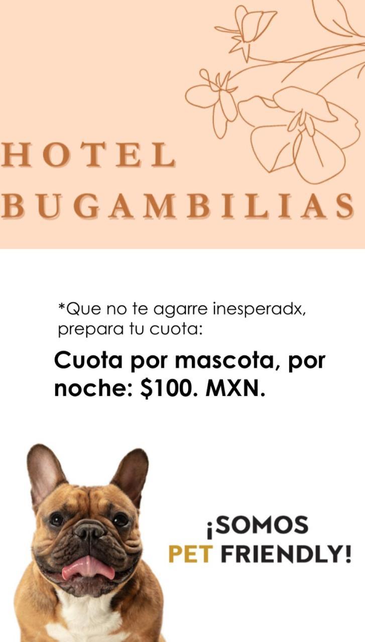 Hotel Bugambilias Oaxaca المظهر الخارجي الصورة